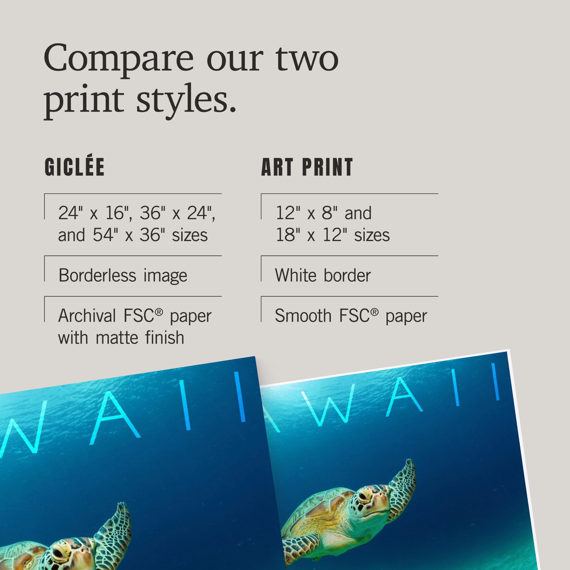 Lantern Press 16x24 Inch Giclee Art Print - Hawaiian Sea Turtle Wall Decor for Living Room, Bedroom & Office | Premium Ocean-Themed Home Decoration