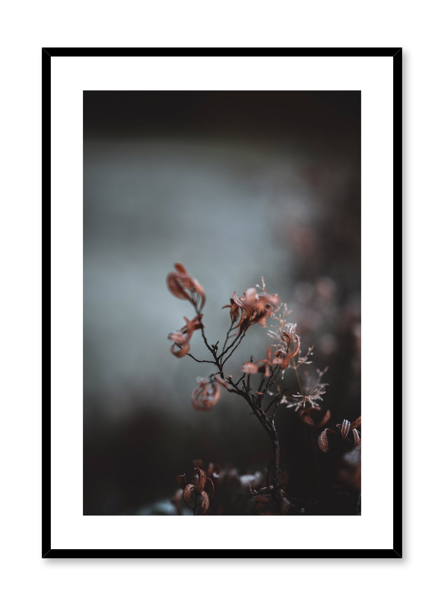 Elegant Floral Poster - Vintage Botanical Wall Art Print for Home & Office Decor - Perfect for Living Room, Bedroom, and Gift Giving
