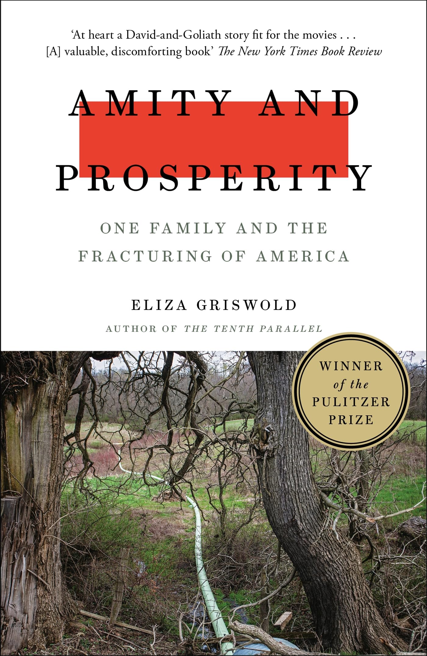 Amity and Prosperity: One Family and the Fracturing of America - A Powerful Story of American Life, Family Struggles, and Societal Divisions | Perfect for Book Clubs, Political Discussions, and Understanding Modern America