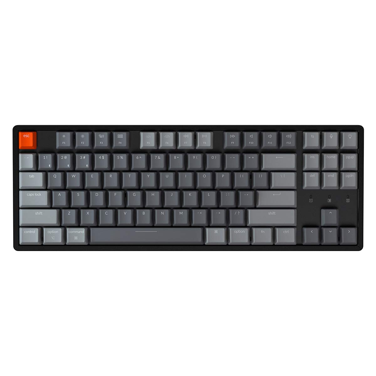 Keychron K8 Tenkeyless Wireless Mechanical Keyboard - Bluetooth RGB Backlit, Type-C Wired, Gateron G Pro Blue Switches, Aluminum Frame for Mac & Windows PC - Perfect for Gaming, Coding & Office Work