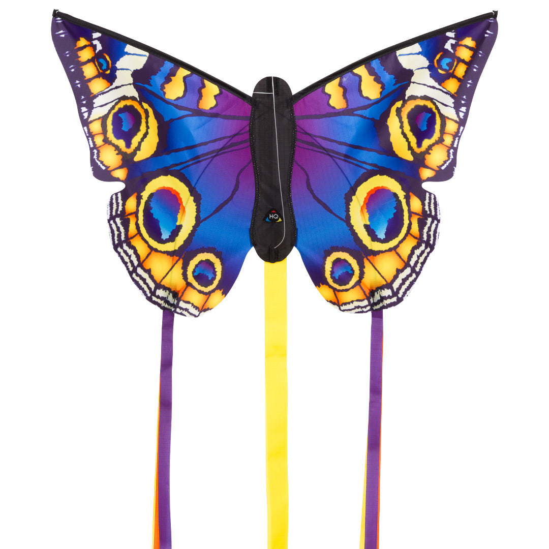 Colorful Butterfly Kite for Kids - Easy to Fly Outdoor Toy for Beach, Park & Backyard Fun - Buckyeye Small Kite with Durable Design