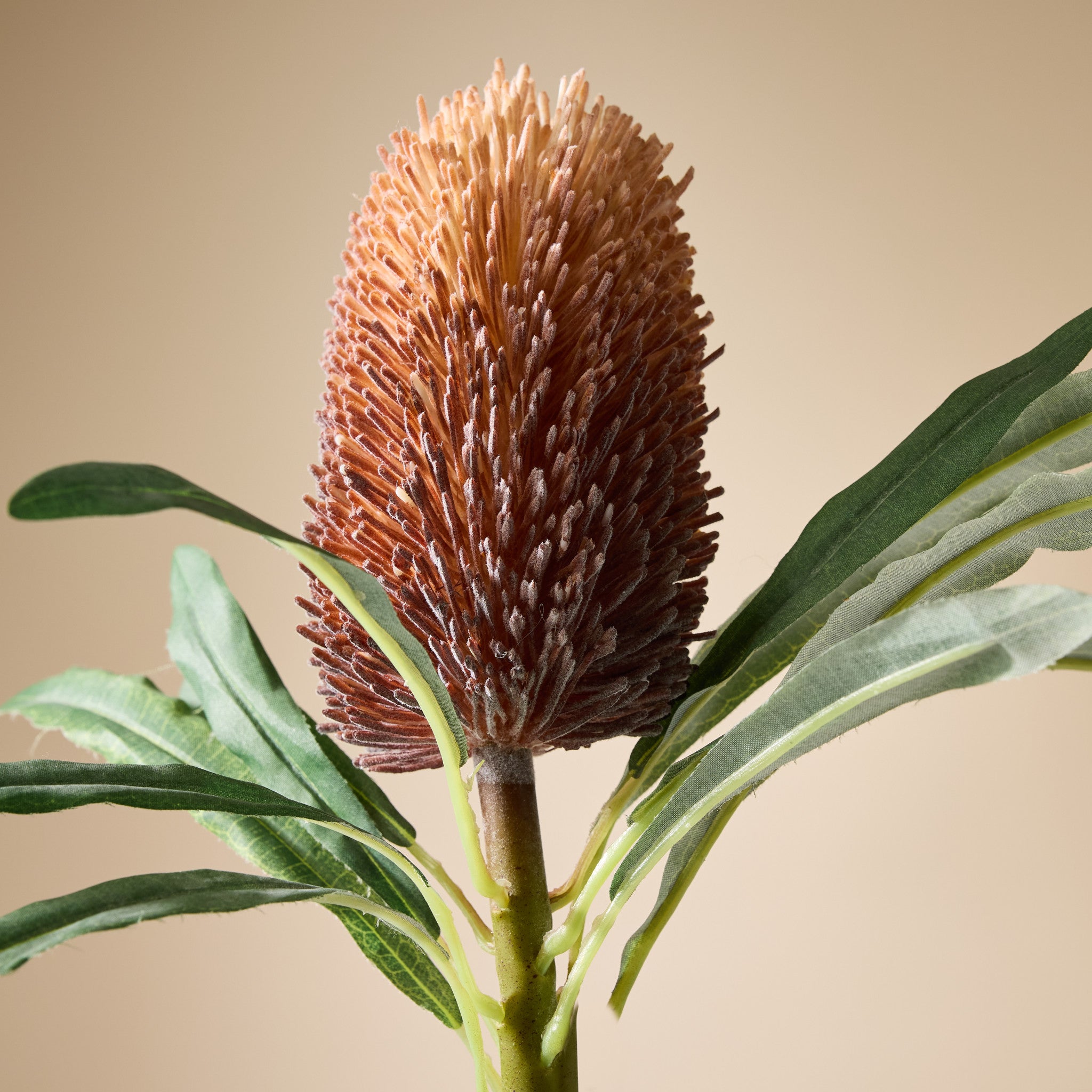 Artificial Banksia Cone Stem - 24 Inch Brown Faux Botanical Decor for Home, Wedding, and Floral Arrangements