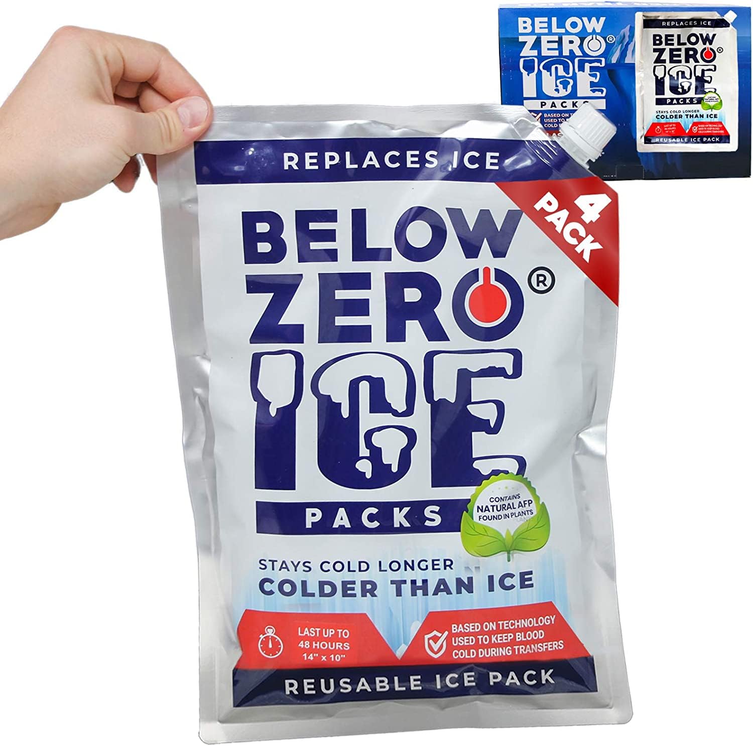 Below Zero Insulated Cooler Bags - Premium Leakproof & Durable for Picnics, Beach Trips & Outdoor Adventures