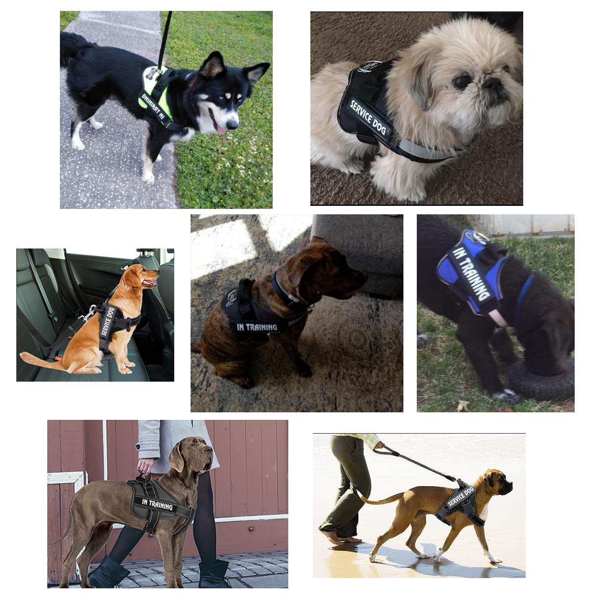 Bolux 2-Pack Removable Dog Vest Patches for Harness - Emotional Support, Service Dog, in Training, Therapy Dog, DO NOT PET, Keep Going - PU Material for Pet Safety & Identification (Ideal for Public Outings, Dog Parks & Training Sessions)