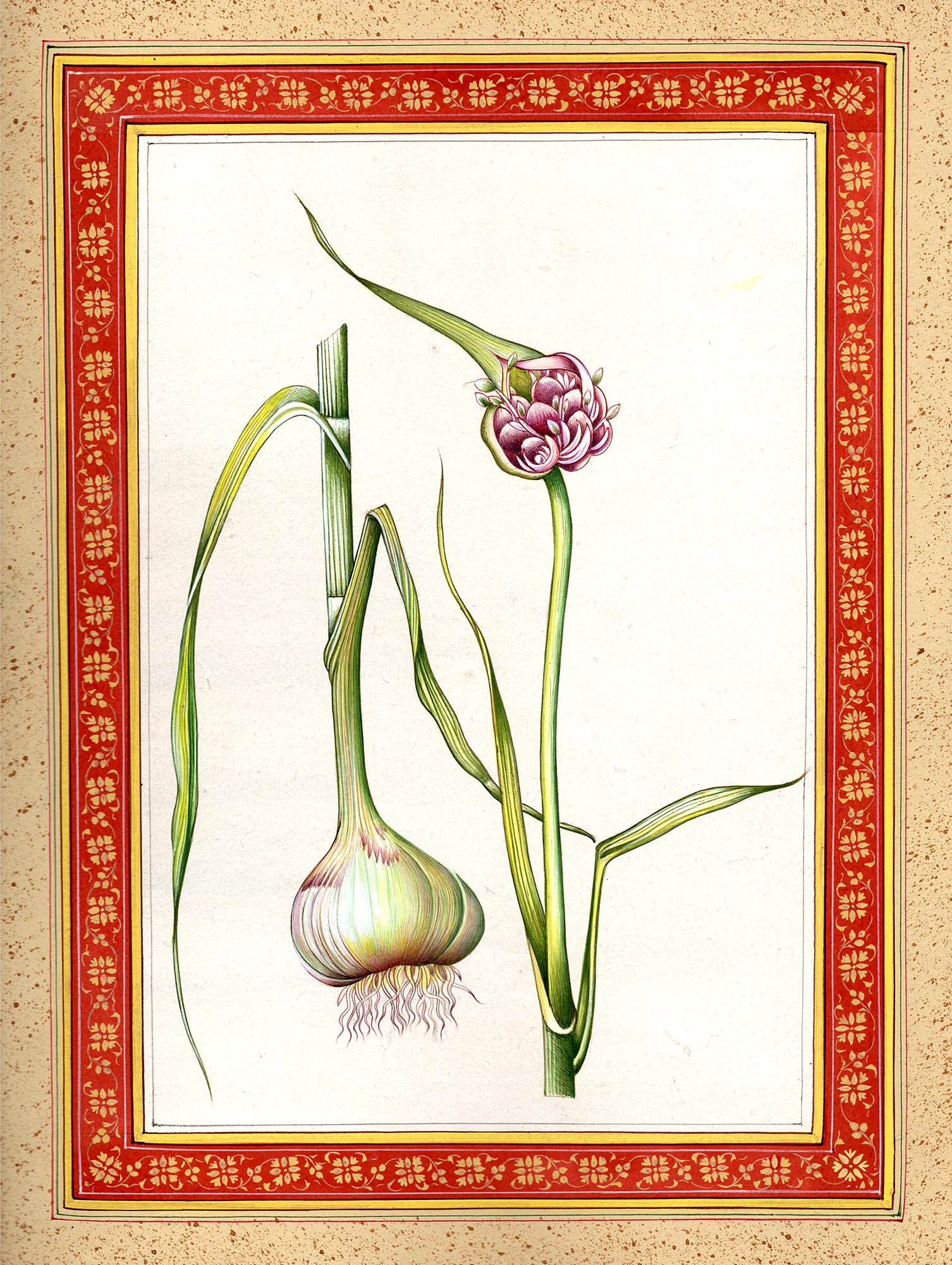 Garlic Plant Watercolor Painting on Paper - Botanical Art by Kailash Raj - Perfect for Kitchen Decor, Home Art Gallery & Gift for Food Lovers