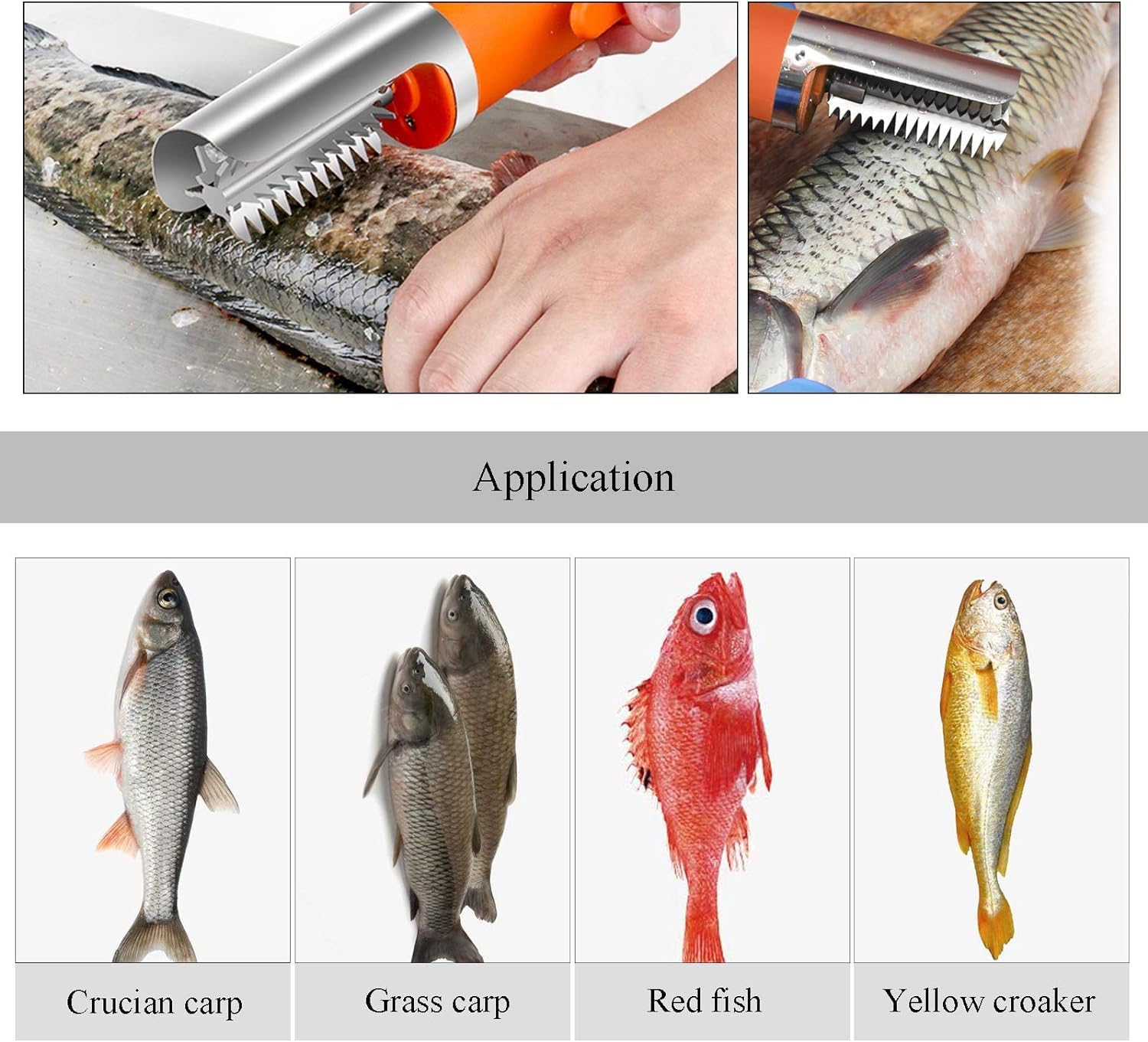 Electric Fish Scaler - Cordless Automatic Fish Scale Remover with Manual Scaler | Fast & Easy Fish Cleaning Tool for Kitchen, Camping, Fishing Trips