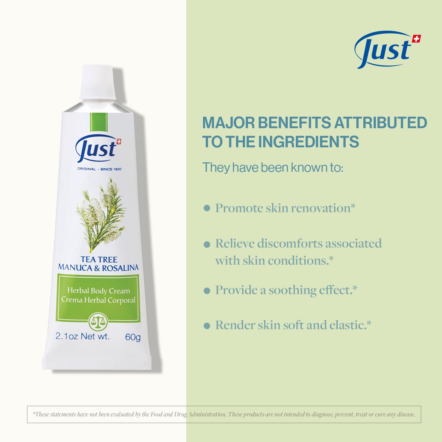 Swiss Just Tea Tree Oil Foot Cream with Manuka Honey & Rosalina Extract 60g – Natural Remedy for Athlete's Foot, Insect Bites & Dry Cracked Skin | Promotes Healing & Skin Regeneration | Ideal for Daily Foot Care, Post-Workout Recovery & Outdoor Activities