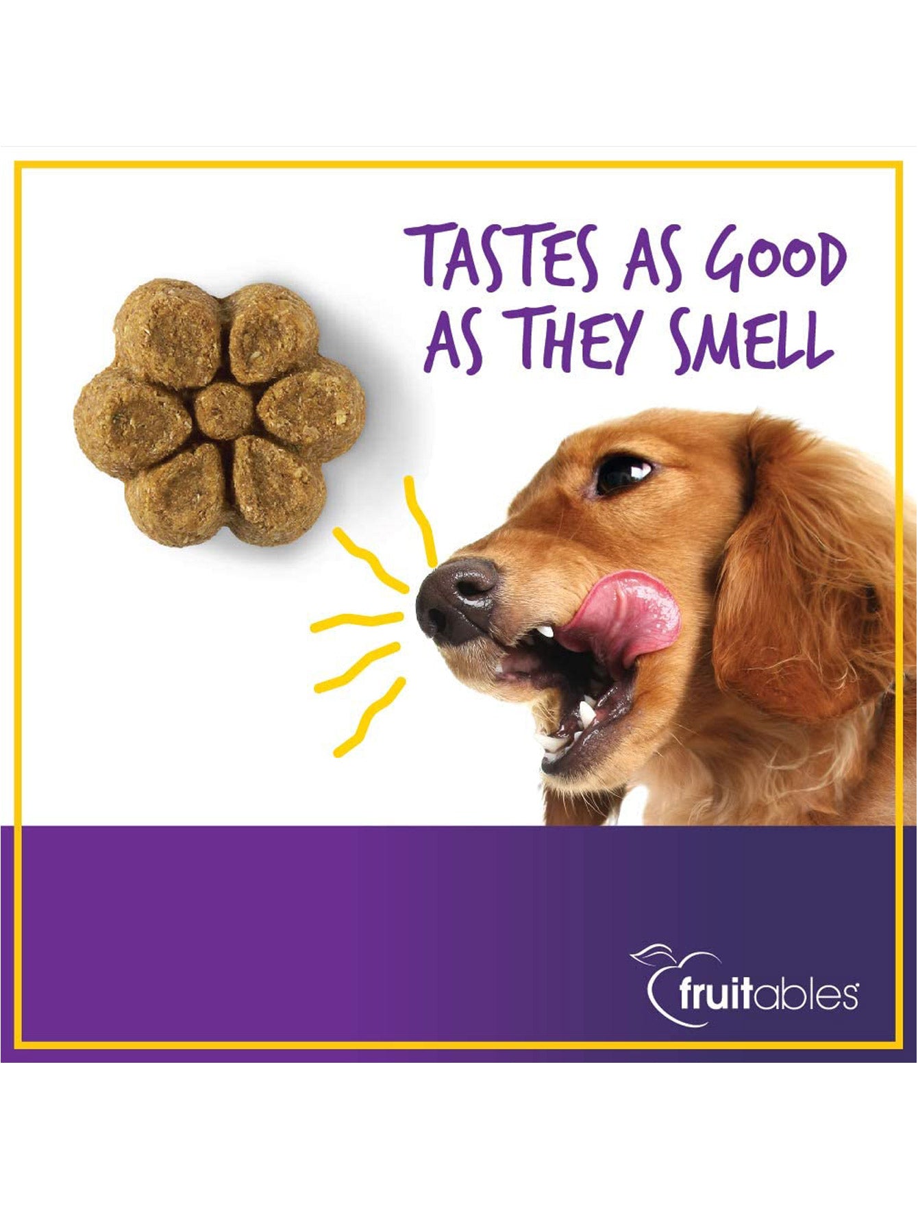 Fruitables Pumpkin & Blueberry Dog Treats - Healthy Natural Dog Snacks for Training & Rewards - Perfect for Small, Medium & Large Dogs - Made in USA