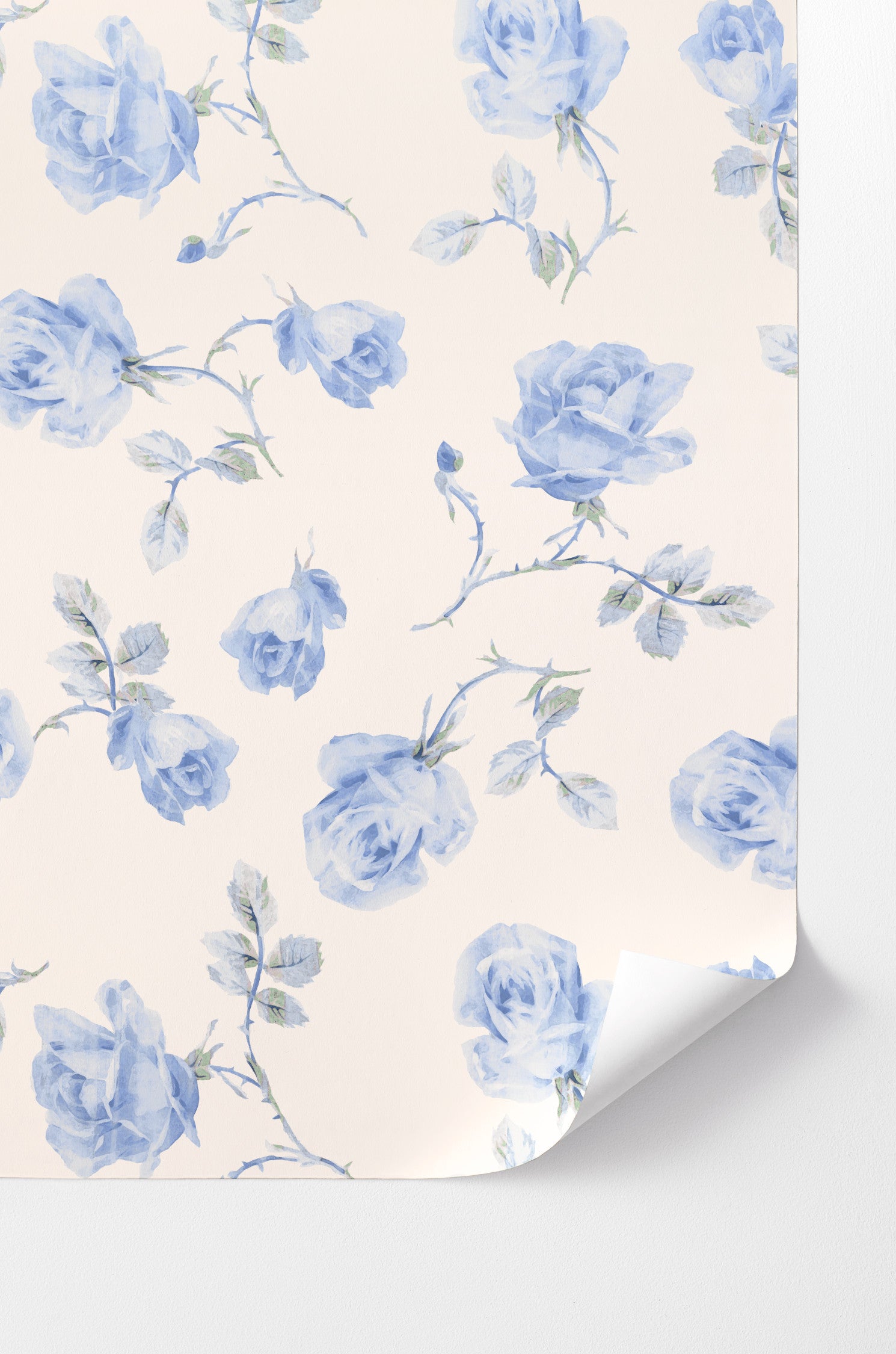 French Blue Ribbon Rosa Peel and Stick Wallpaper - Self-Adhesive Removable Wallpaper for Bedroom, Living Room, Nursery & Home Decor