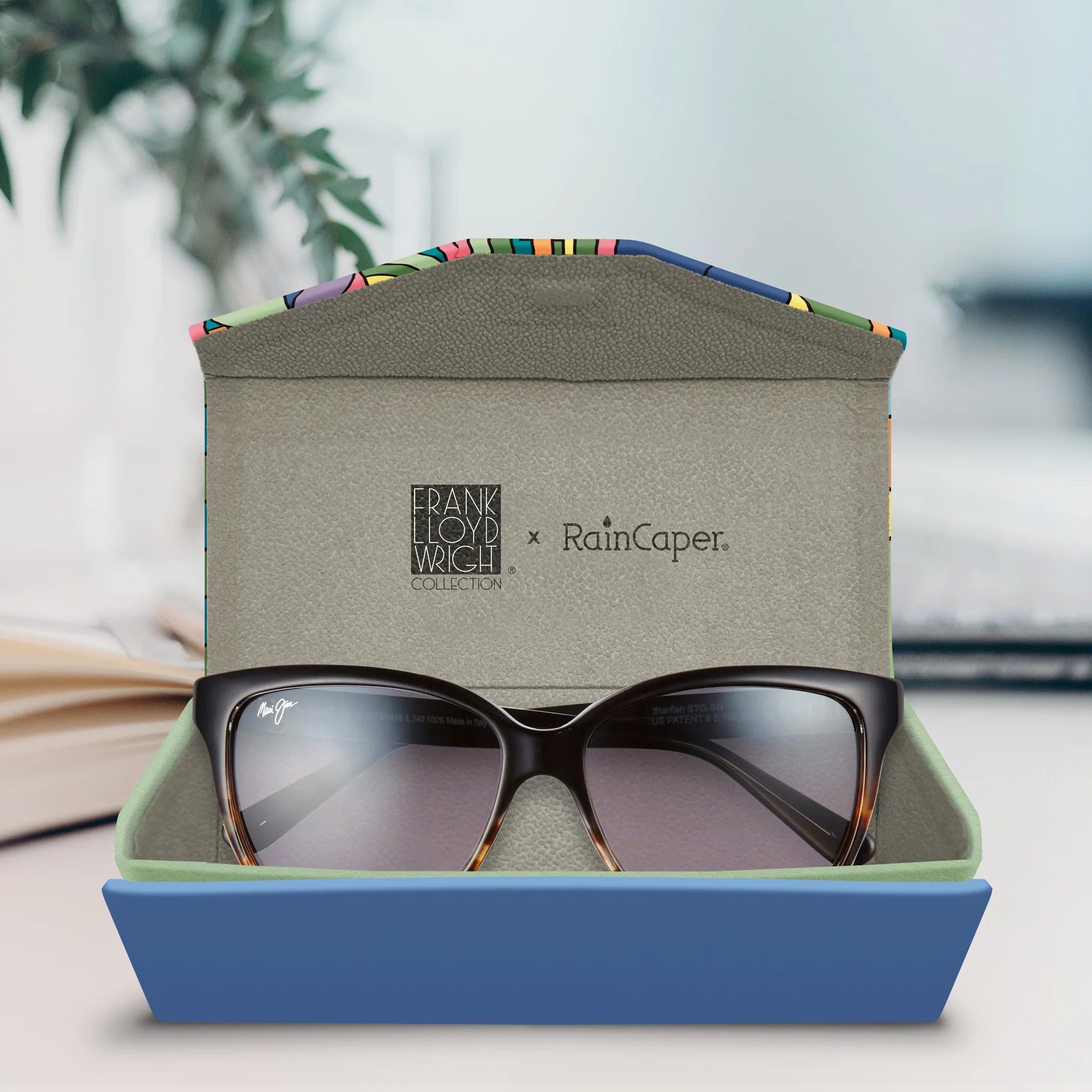 Saguaro Hard Shell Glasses Case - Durable & Lightweight Eyewear Protector for Sunglasses & Reading Glasses - Perfect for Travel, Work & Everyday Use