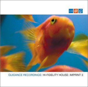 Hi-Fidelity House Imprint 3 - Premium Quality Home Decor for Modern Living Rooms & Bedrooms | Perfect Wall Art for Contemporary Interior Design