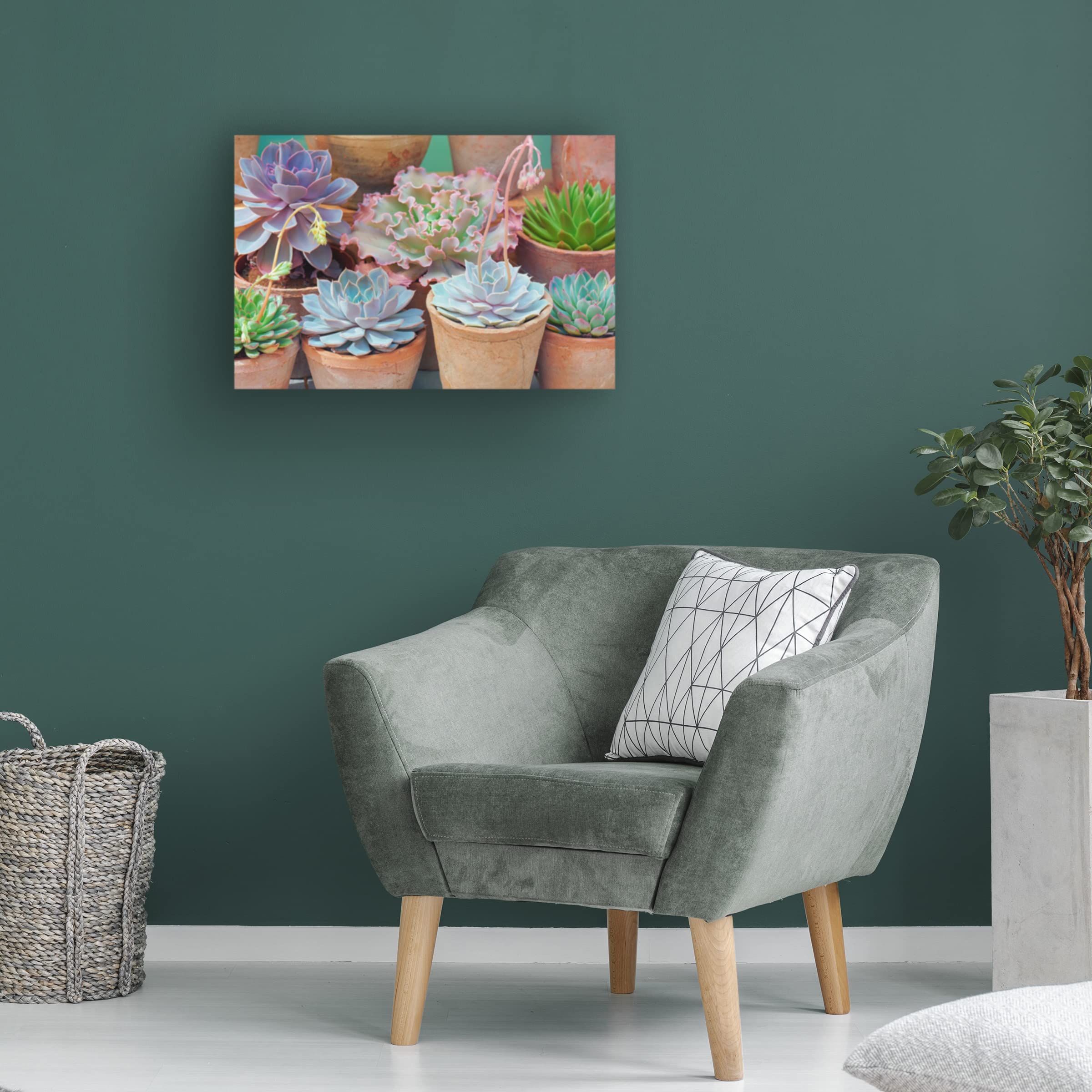 Trademark Fine Art 'Succulents in Terracotta Pots IV' Canvas Wall Art by Cora Niele - Perfect for Living Room, Bedroom & Office Decor