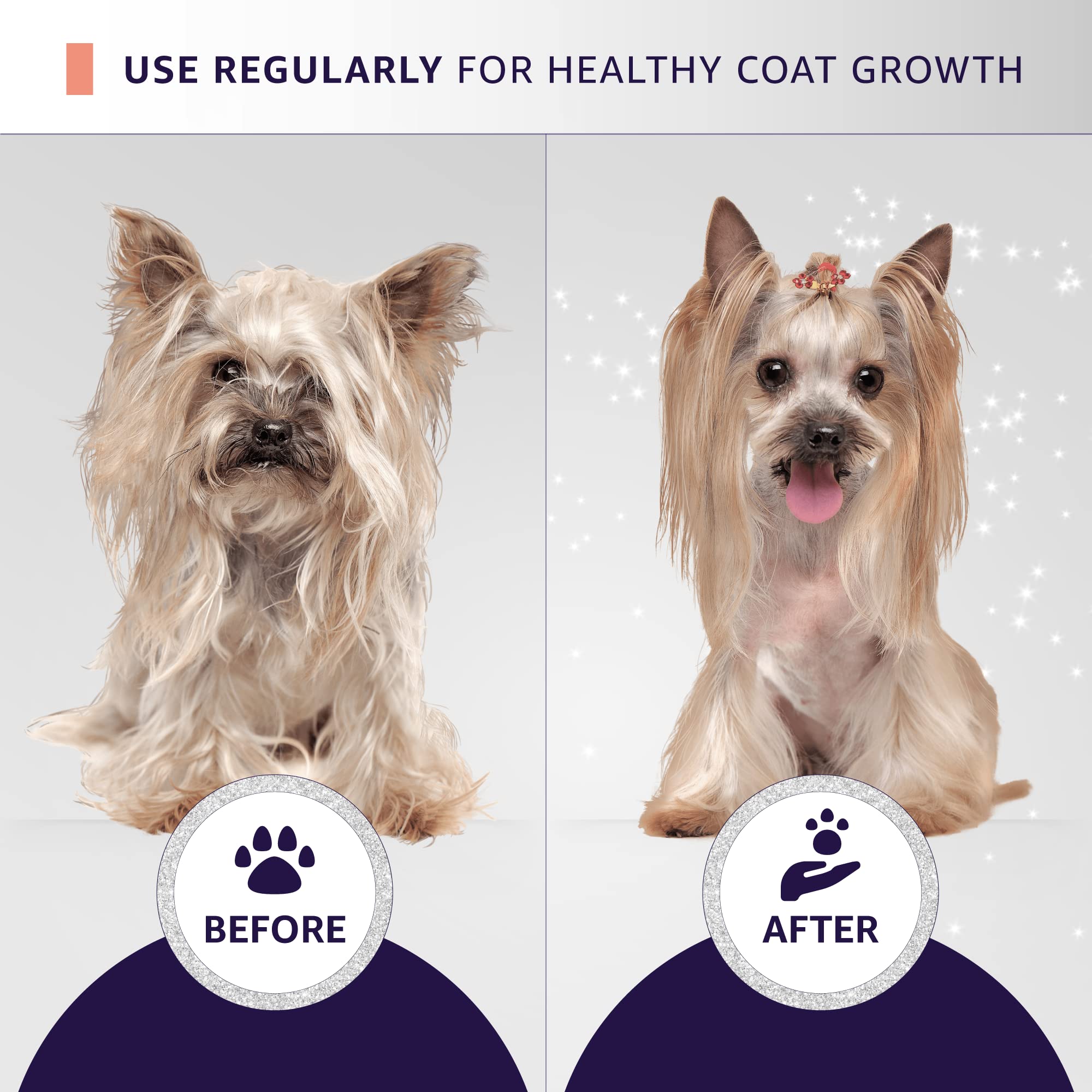 Hydra Professional Moisturizing Dog Conditioner with Oatmeal - All Breed & Coat Type Pet Conditioner for Dogs & Cats - Promotes Shiny Fur - 169 fl.oz - Ideal for Bathing, Grooming & Dry Skin Care