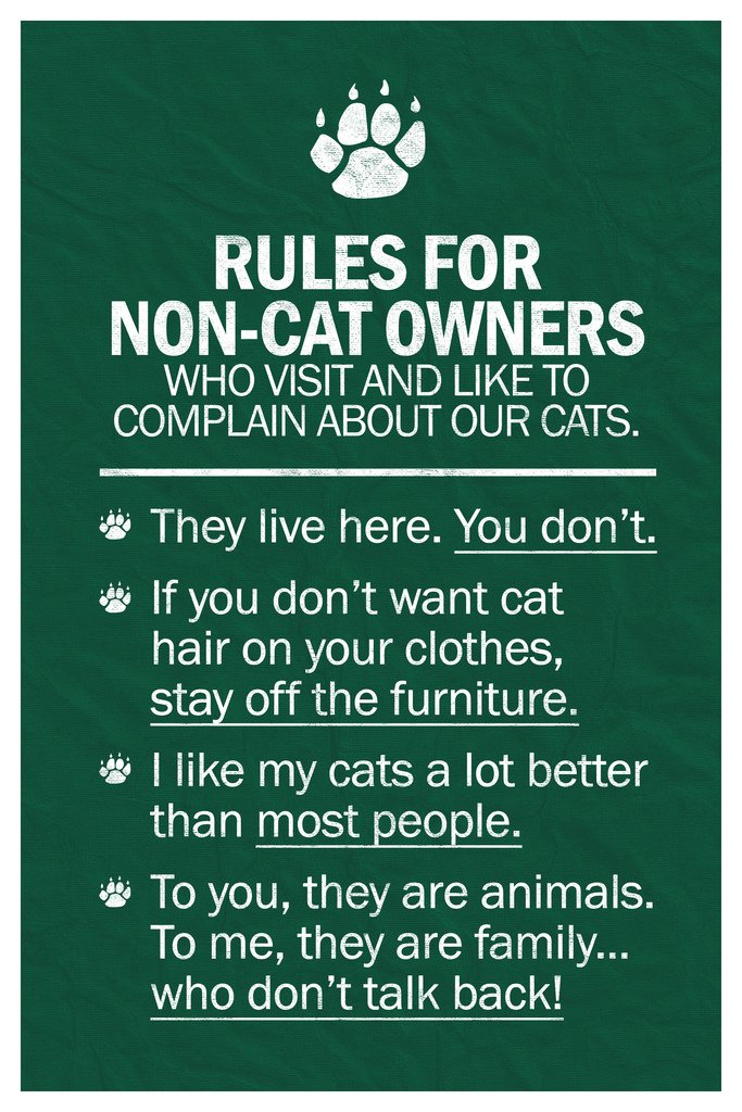 Funny Cat Rules Poster for Non Cat Owners - Motivational & Inspirational Kitten Wall Art Print 12x18 - Perfect for Home, Office & Gifts
