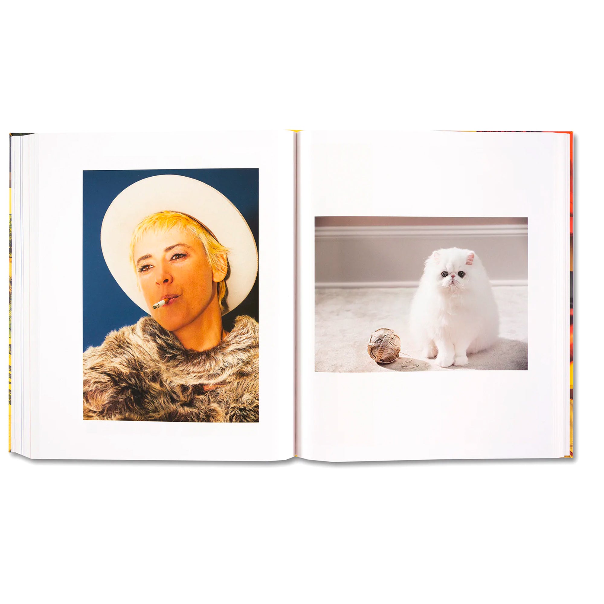 Roe Ethridge: American Polychronic Hardcover Art Book - Perfect for Contemporary Art Collectors & Photography Enthusiasts