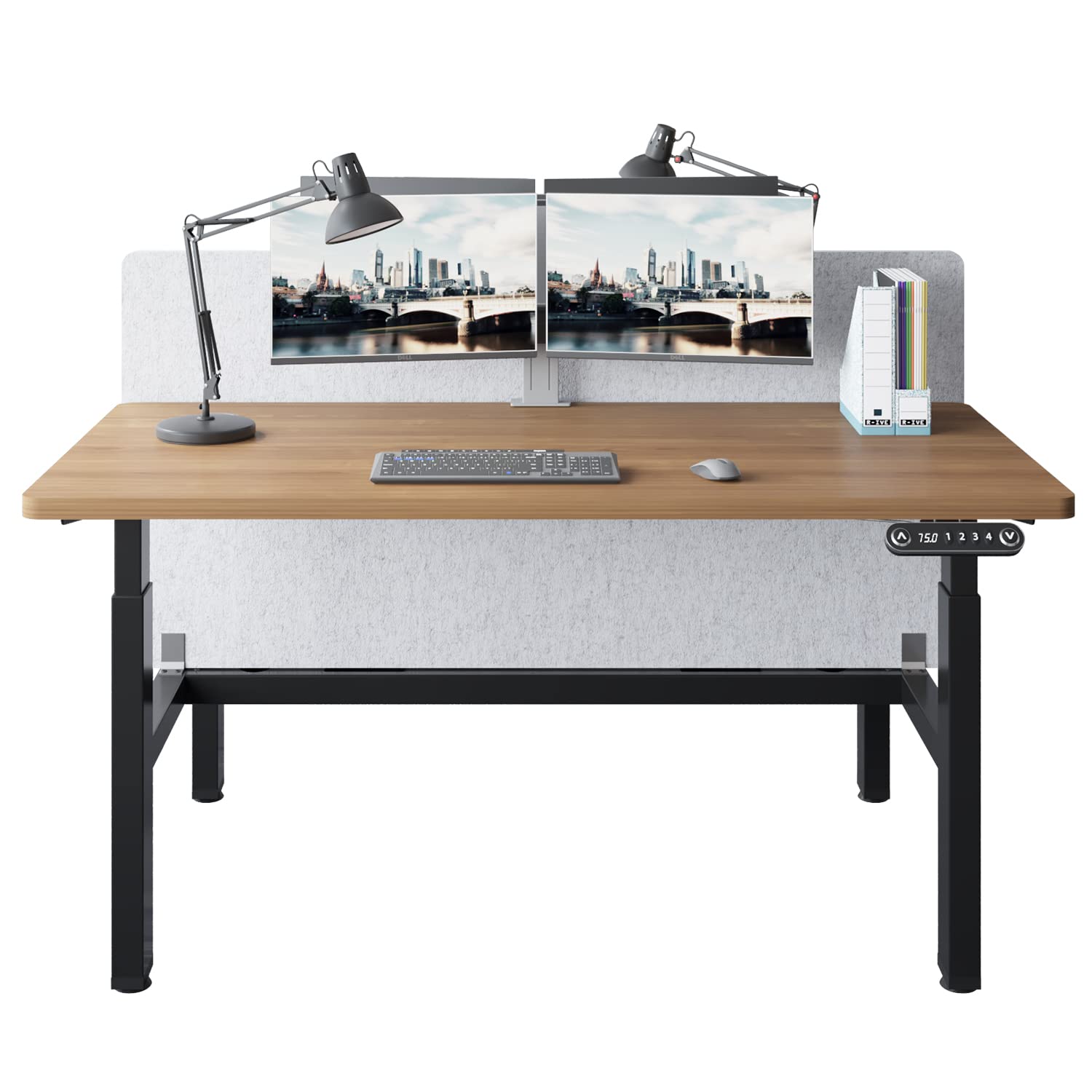 Premium Radlove Dual Electric Standing Desk - 59