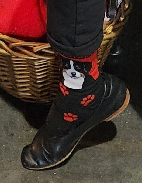 Bernese Pop Art Socks - Fun Colorful Dog Pattern Novelty Socks for Men & Women - Perfect Gift for Pet Lovers, Casual Wear & Cosplay Accessories