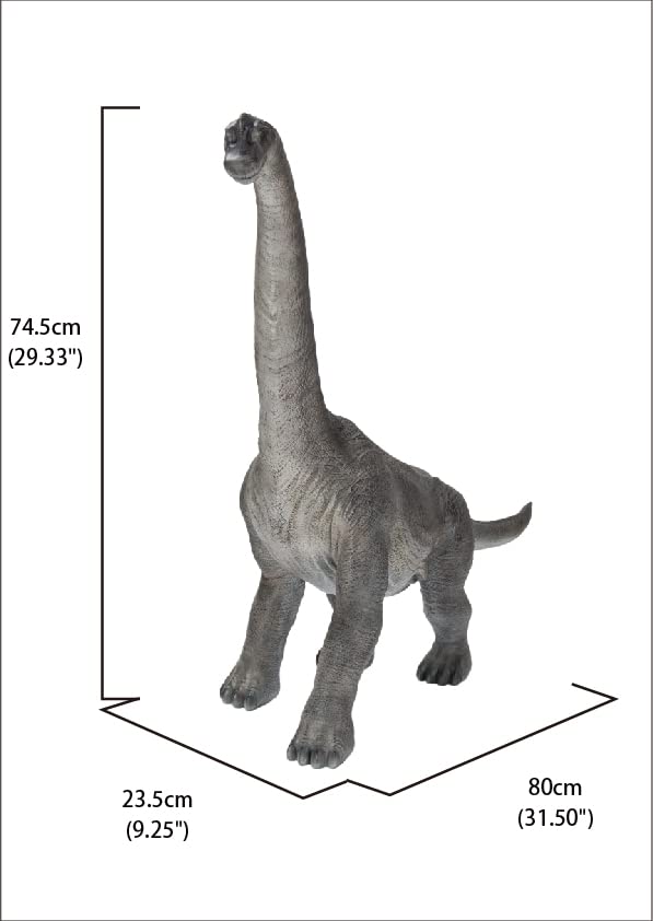 Hi-Line Gift Dinosaur Brachiosaurus Toy - Realistic Dinosaur Figure for Kids, Collectors & Educational Play | Perfect for Birthday Gifts, Classroom Learning & Jurassic-Themed Decor
