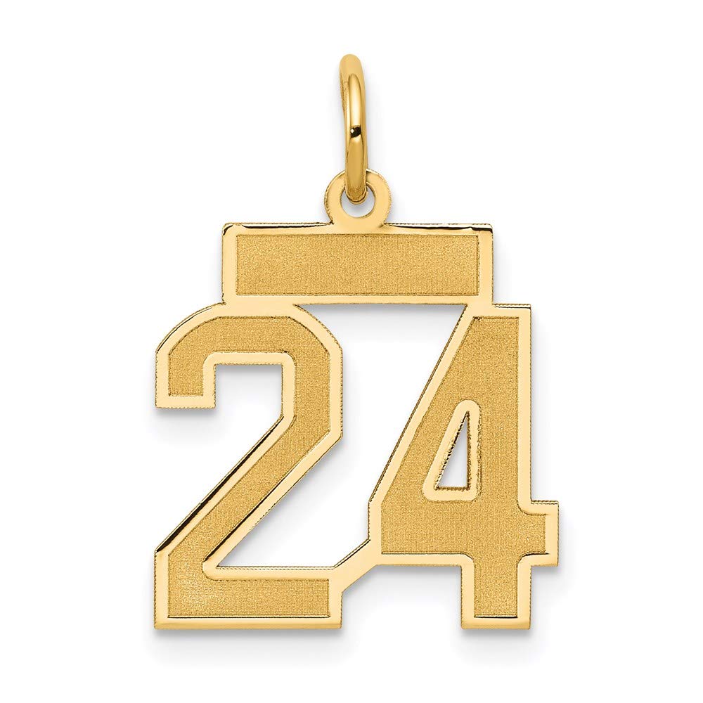 14K Yellow Gold Small Satin Number 24 Charm Pendant - Elegant Jewelry Gift for Birthdays, Anniversaries & Special Occasions
