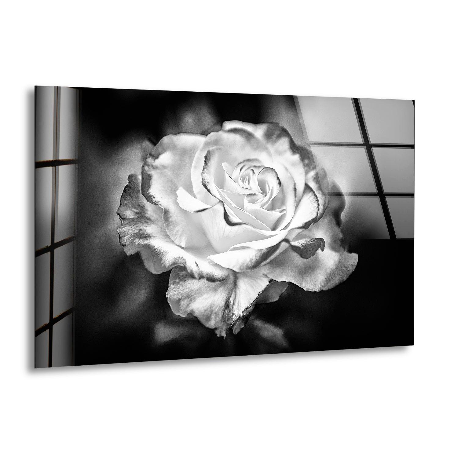 Elegant Black and White Rose Glass Wall Art - Modern Home Decor for Living Room, Bedroom & Office