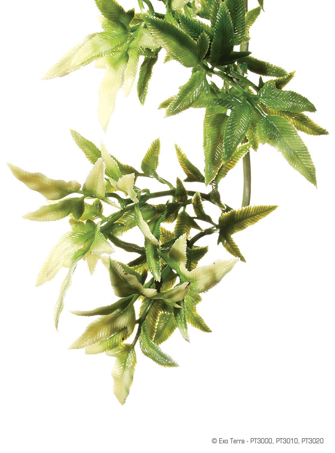 Exo Terra Medium Plastic Terrarium Plant - Croton - Realistic Fake Plants for Reptile Tanks, Vivariums & Terrarium Decor - Perfect for Bearded Dragons, Geckos & Snakes