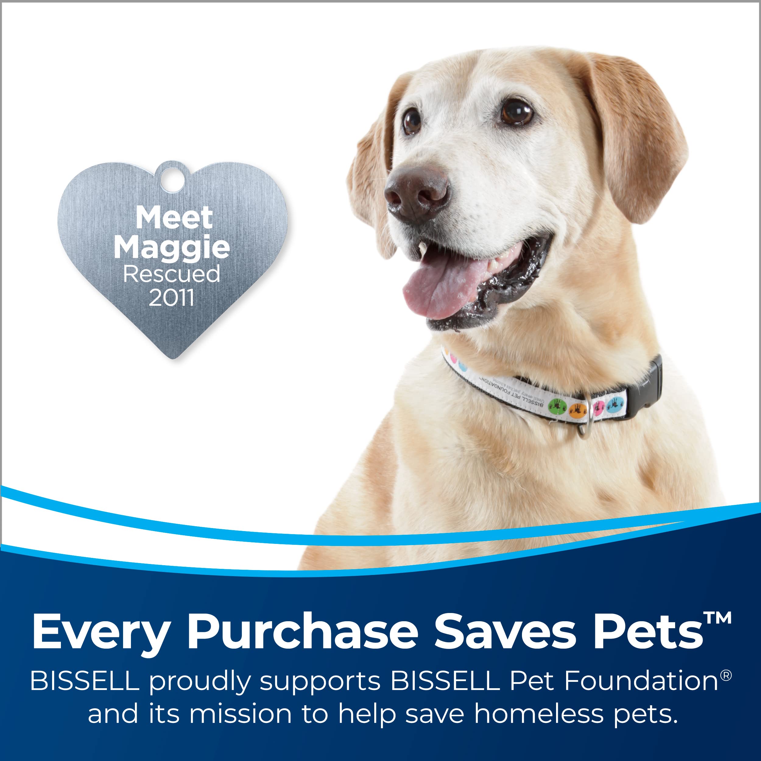 Bissell CleanView Rewind Upright Bagless Vacuum Cleaner with Automatic Cord Rewind & Active Wand - Model 3534 | Powerful Suction for Pet Hair, Carpets & Hard Floors | Perfect for Home Cleaning & Pet Owners