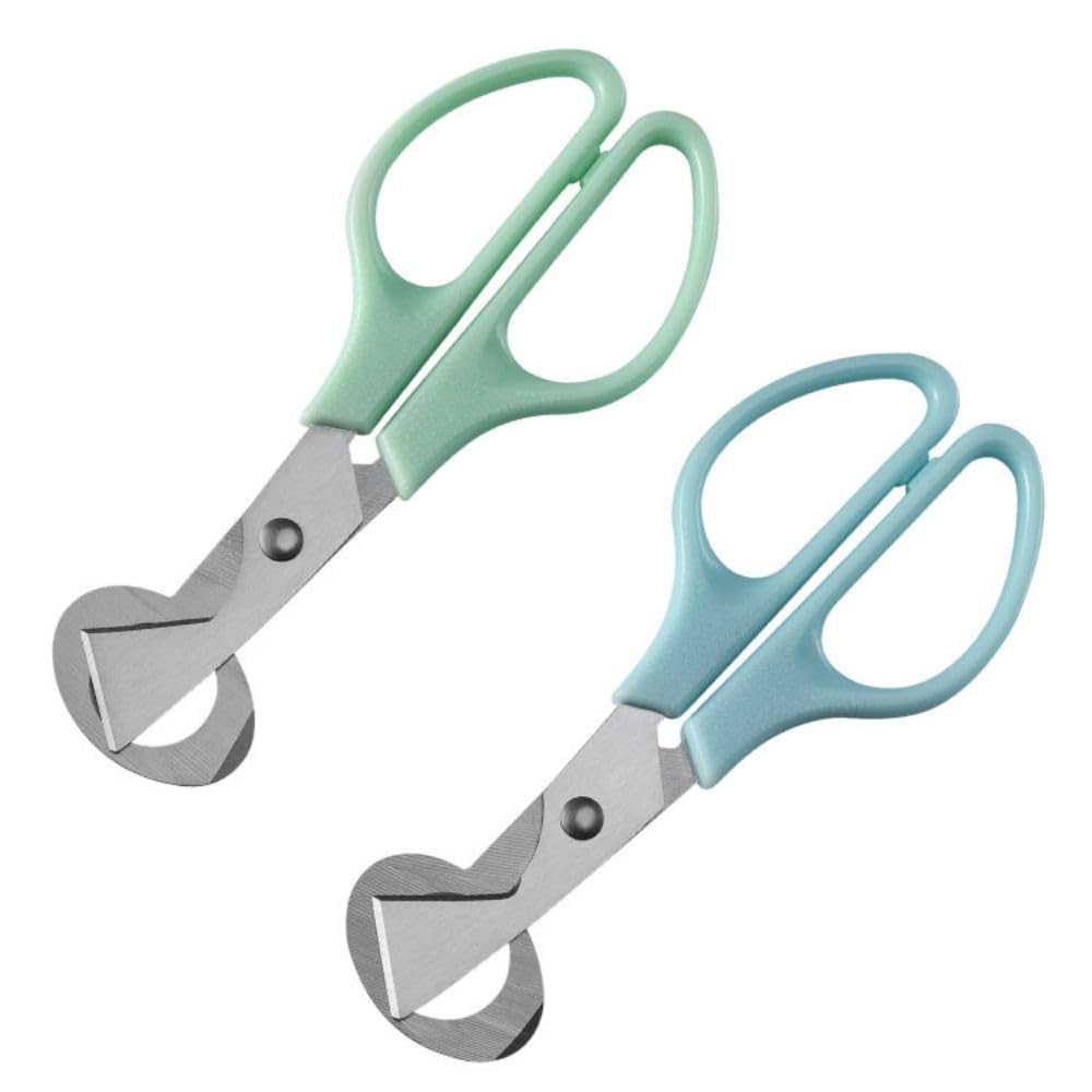 Premium Stainless Steel Quail Egg Scissors - Professional Bird Egg Cutter & Opener - Kitchen Shears for Quail, Chicken, Duck Eggs - Ergonomic Home Cooking Tool (Green) - Perfect for Breakfast Prep, Baking & Gourmet Cooking
