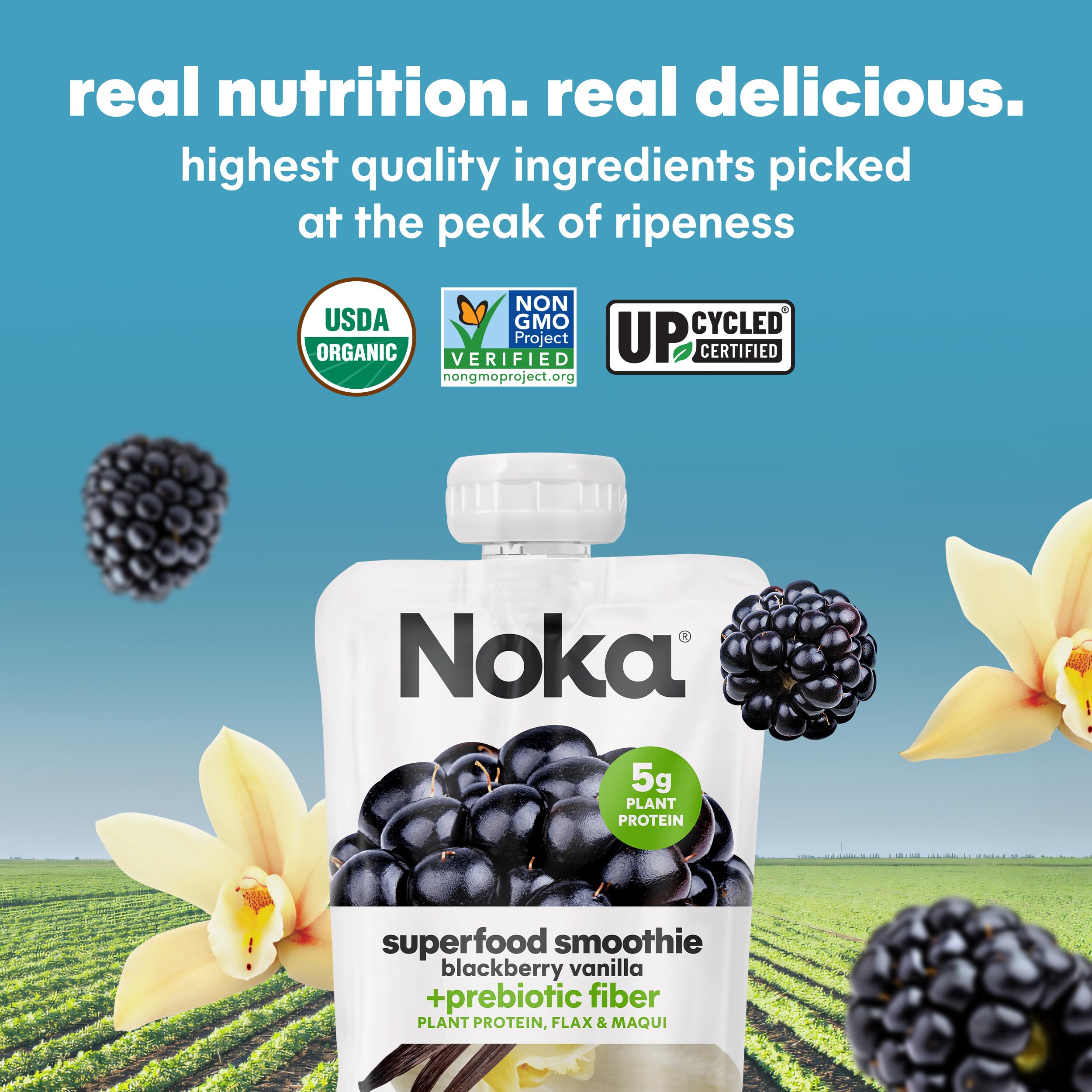 Organic Noka Superfood Fruit Smoothie Pouches - Blackberry Vanilla Flavor | Vegan, Gluten-Free Healthy Snacks with Flax Seed, Plant Protein & Prebiotic Fiber | 4.22 oz Squeeze Pouch (6 Pack) | Perfect for On-the-Go Nutrition, Kids Lunchboxes & Post-Workout Recovery
