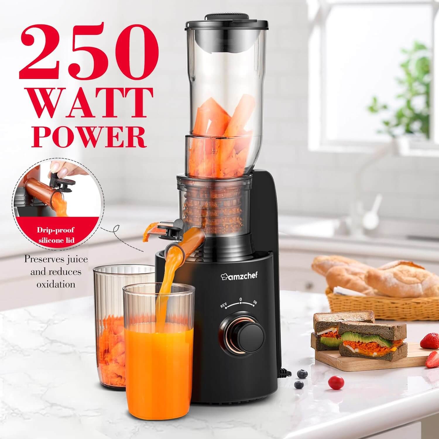 AMZCHEF Compact Slow Masticating Juicer with 3