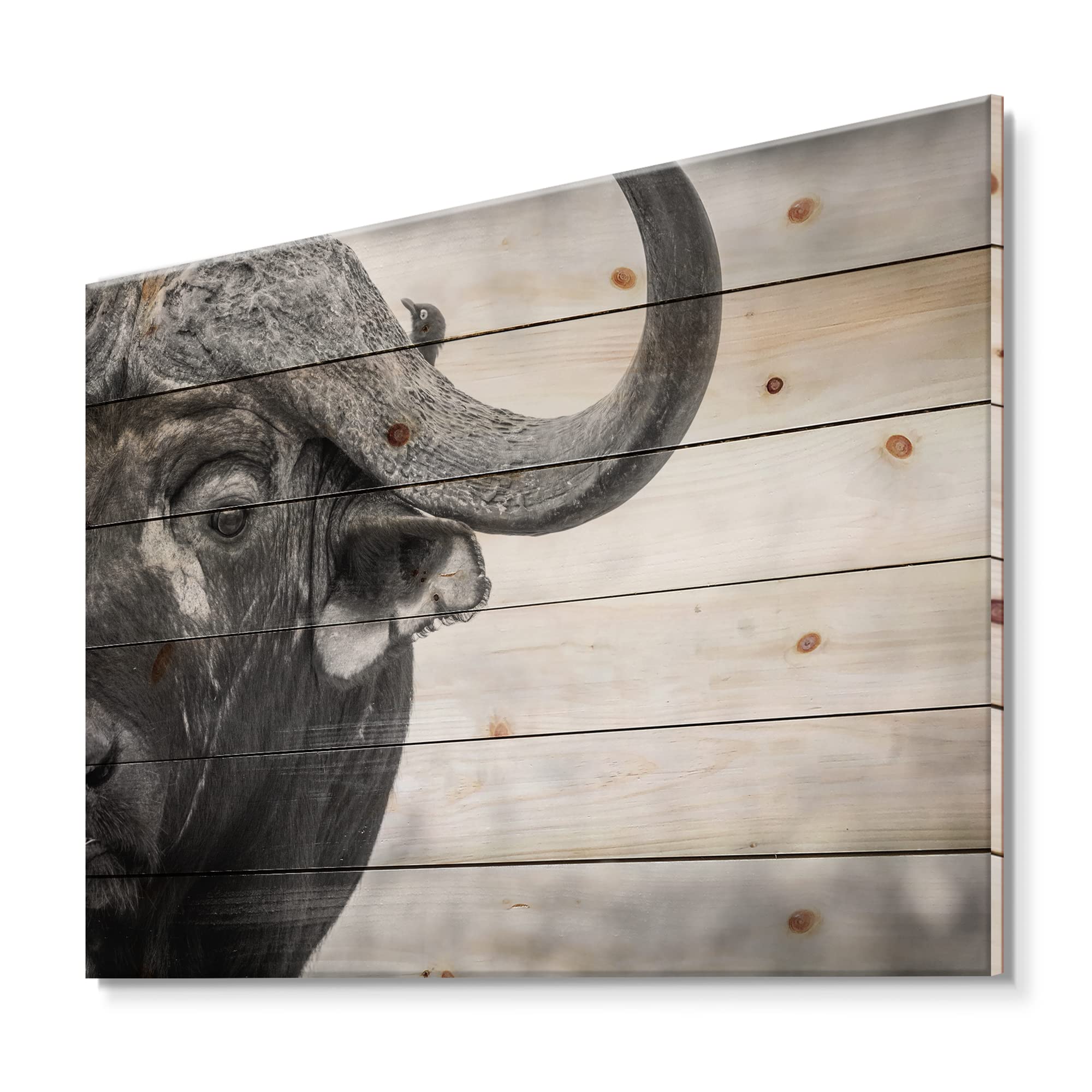 DesignQ Monochrome Buffalo Portrait III - Farmhouse Wood Wall Decor, Black Wood Wall Art, Large Animal Wood Panel Print on Natural Pine - Perfect for Living Room, Bedroom & Rustic Home Decor