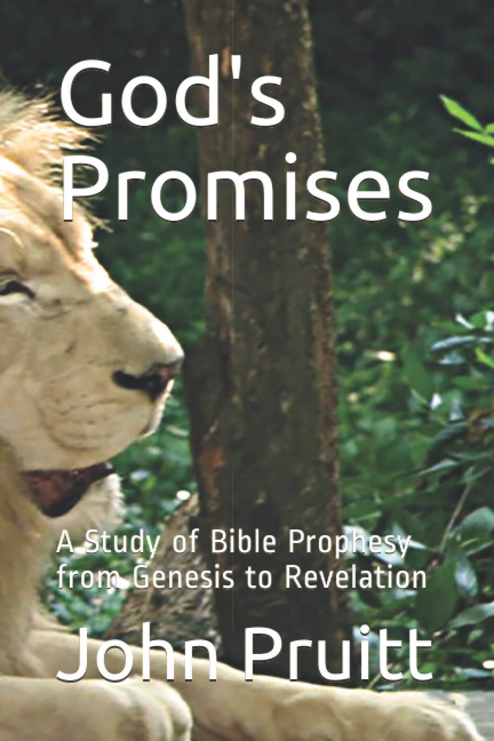 God's Promises: Bible Prophecy Study from Genesis to Revelation - Perfect for Christian Devotion & Bible Study Groups