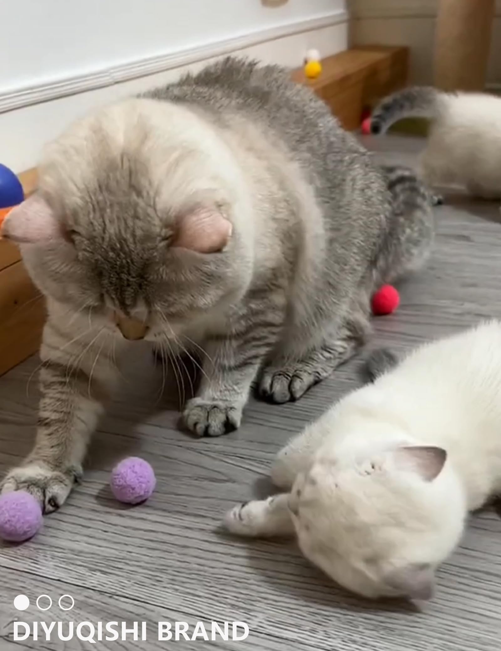 15 PCS Cat Toy Variety Pack - Interactive Kitten Toys with Soft Fuzzy Balls, Durable & Safe Indoor Cat Toys for Play & Exercise | Perfect for Boredom Relief & Bonding with Your Cat