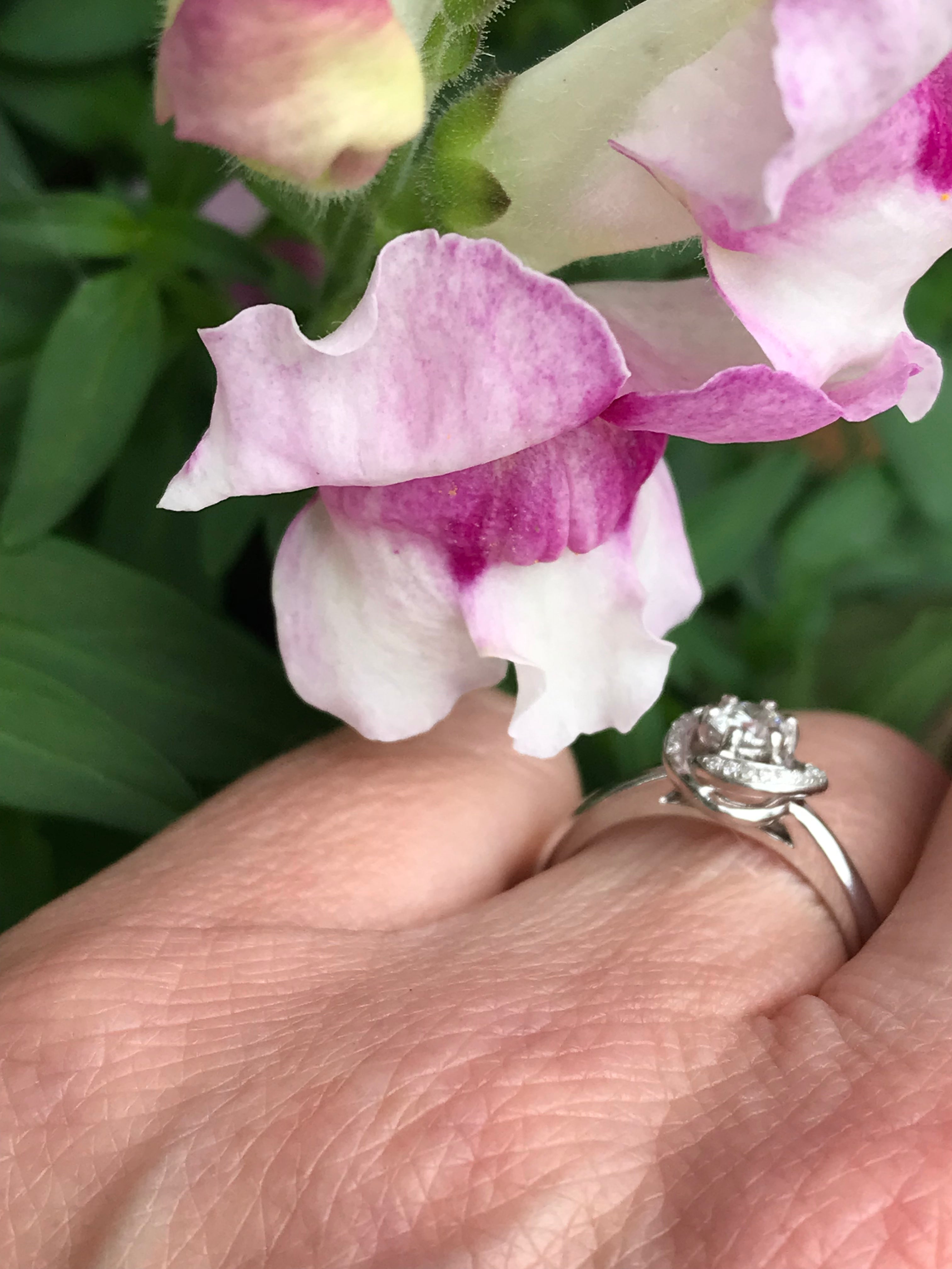 0.29CT Platinum Aurora Natural Diamond Ring - DVS2 Certified, Ideal for Engagement, Wedding & Anniversary Gifts