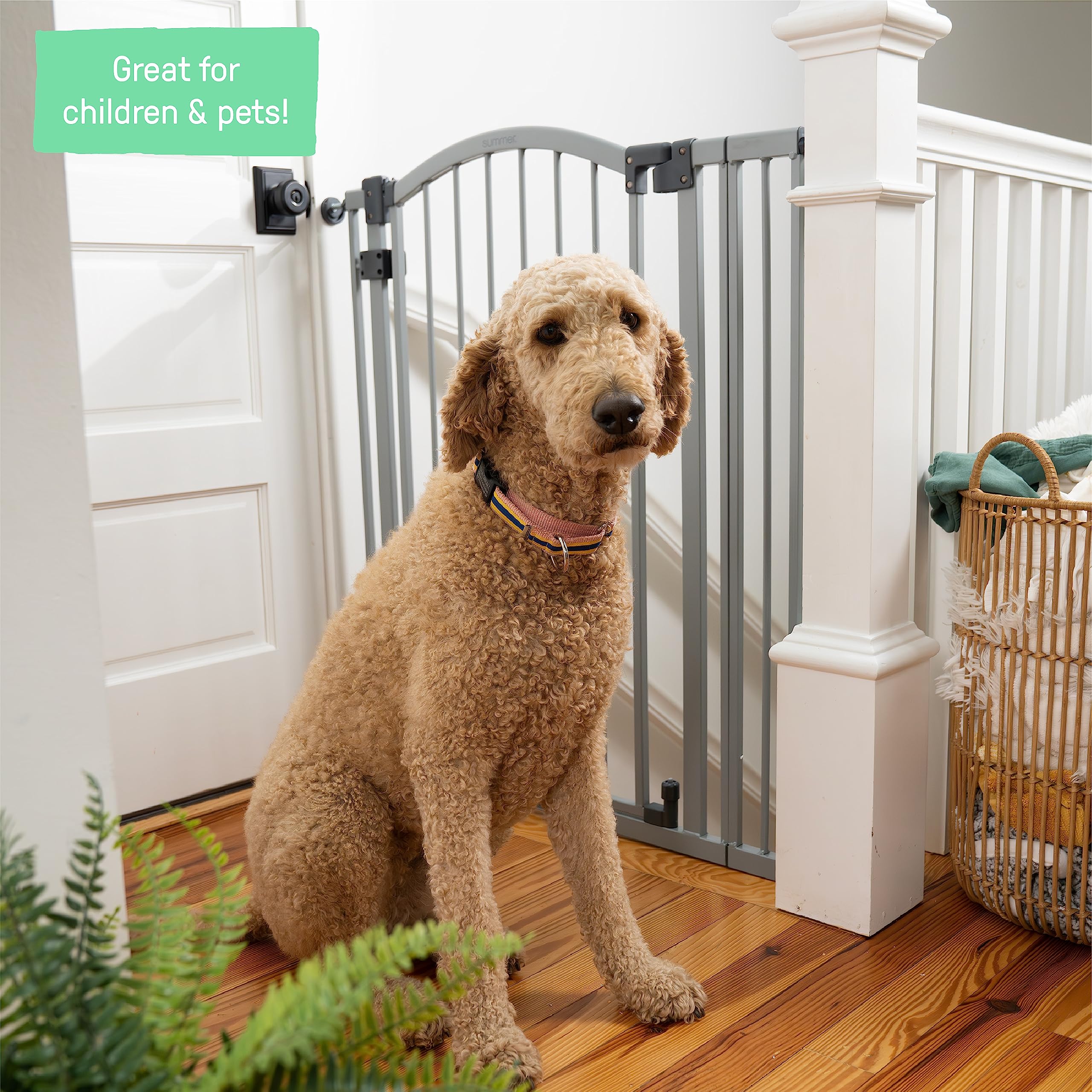 Extra Tall & Wide Safety Pet and Baby Gate - 29.5
