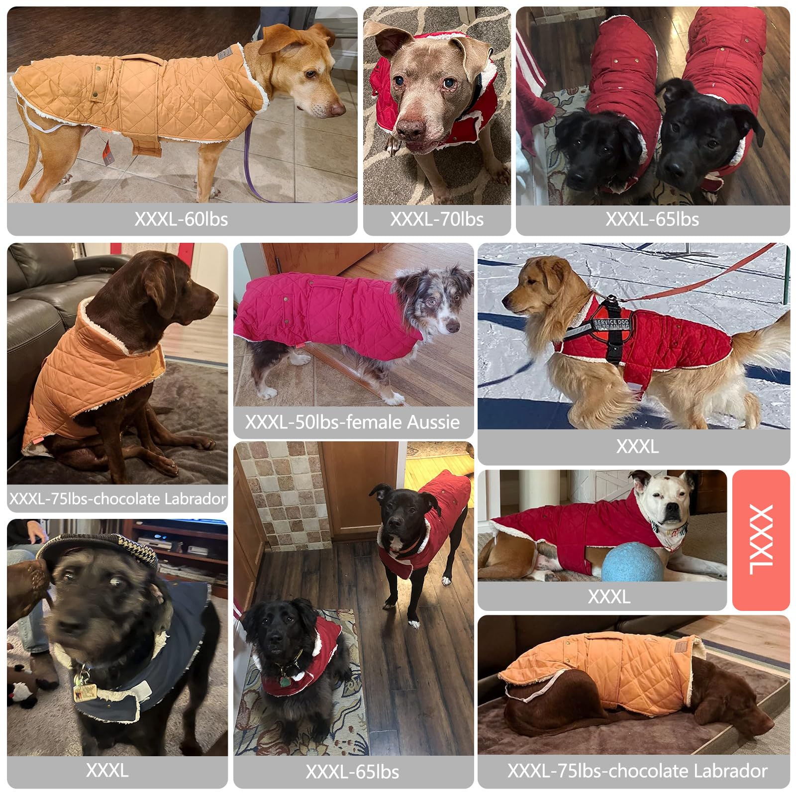 KYEESE Winter Windproof Dog Jacket with Leash Hole - Padded Sherpa Vest for Large Dogs, Cold Weather Coat in Yellow - Perfect for Outdoor Walks, Hiking & Winter Adventures