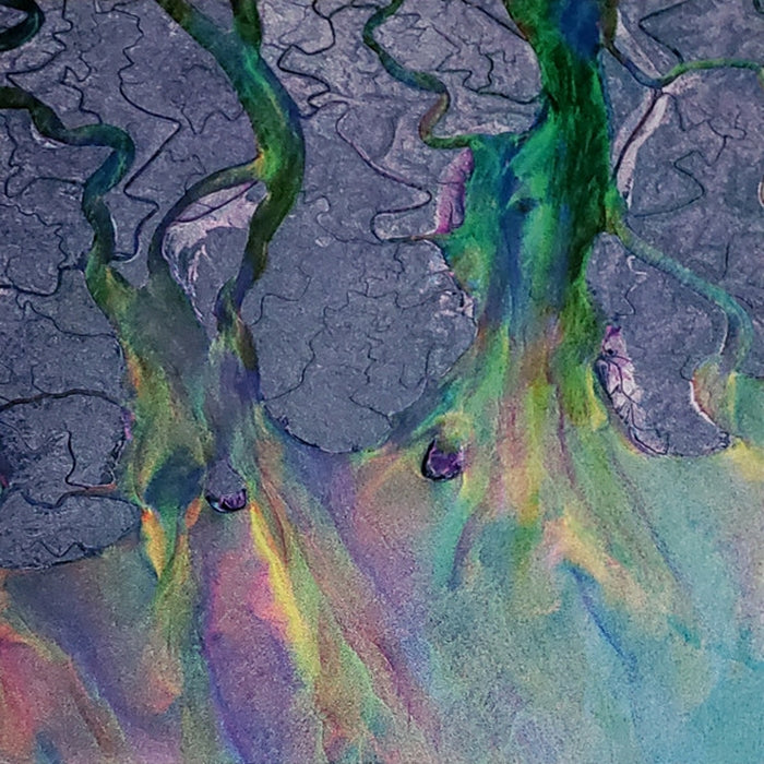 Alt J – An Awesome Wave Vinyl Record (VG+/VG+) – Perfect for Music Lovers & Vinyl Collectors, Great for Home Listening & Gifts