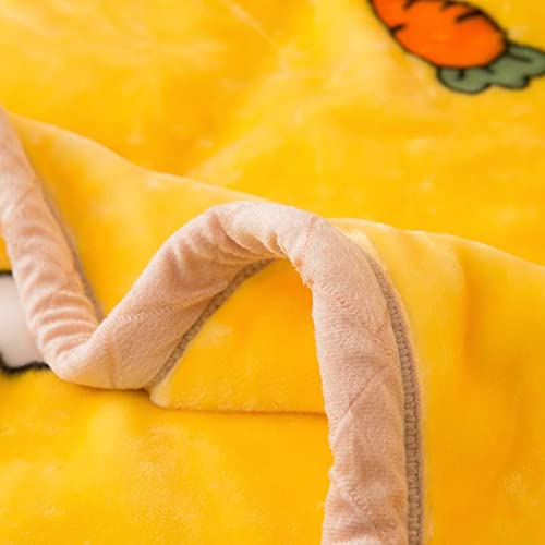 Premium Korean Mink Blanket - Heavyweight 2 Ply Fleece Blanket Twin Size 60