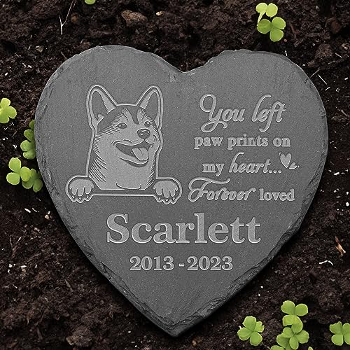 Shiba Inu
