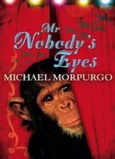 Michael Morpurgo: Mr. Nobody's Eyes - Used Book | Classic Children's Novel for Reading & Collecting