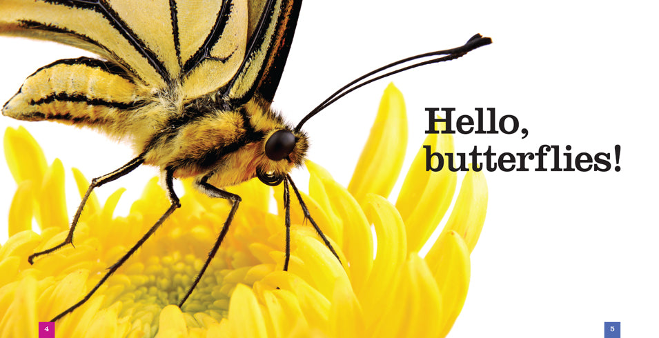Butterflies Book ISBN 9781608184576 - Explore Butterfly Species, Facts & Habitats for Nature Lovers & Educational Use