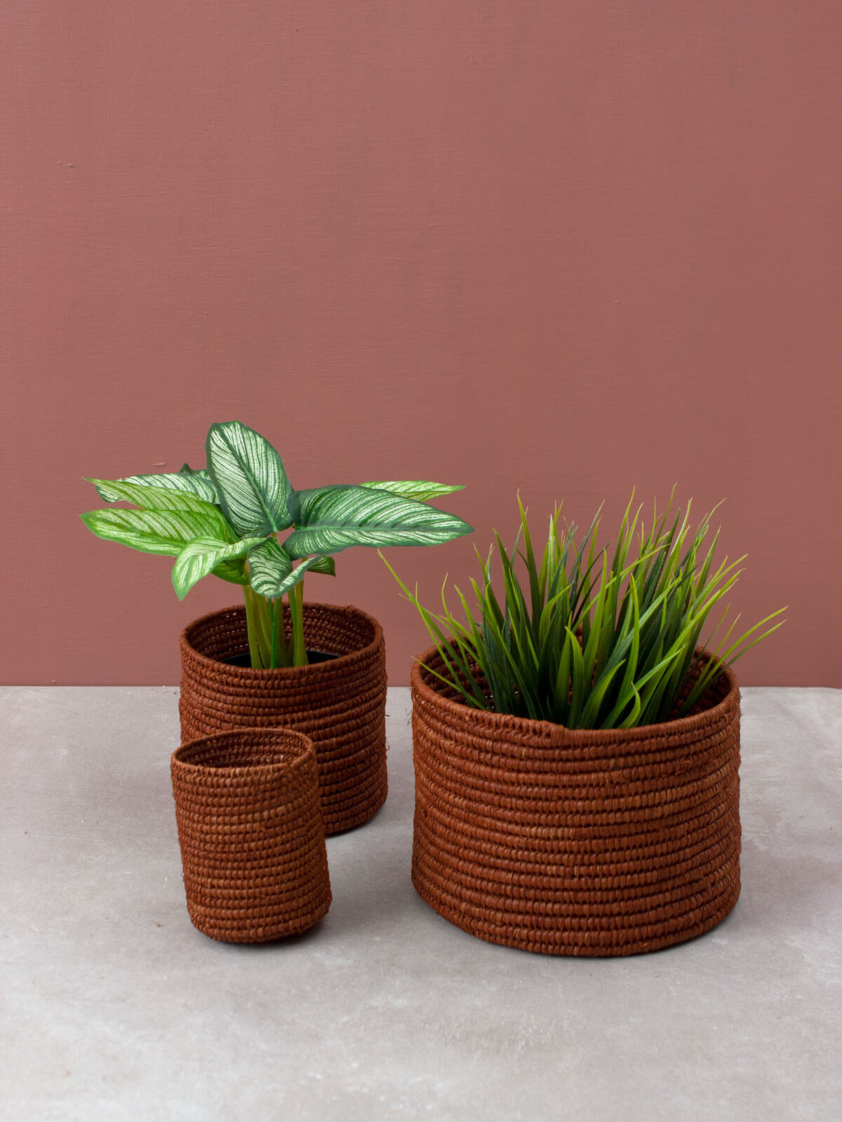 Natural Raffia Storage Baskets with Lids - Handwoven Tobacco Brown Woven Bins for Home Organization, Bathroom, Kitchen & Living Room Decor