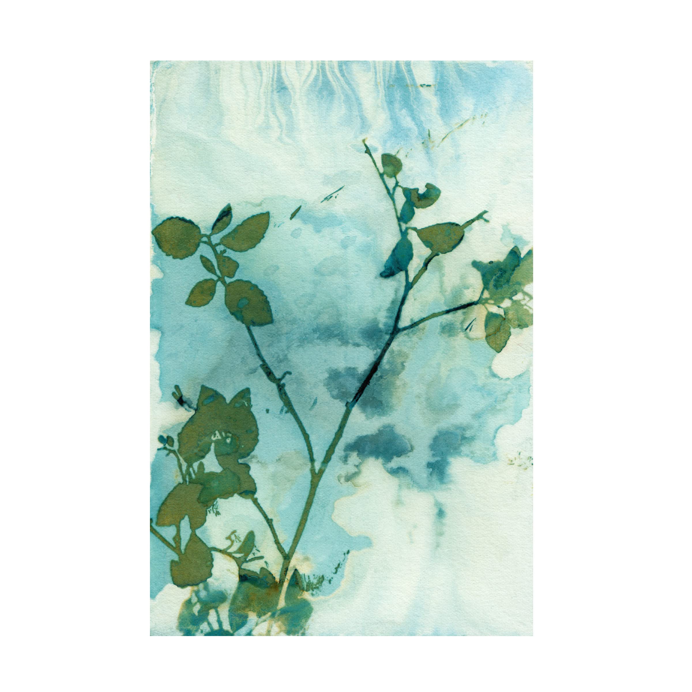Trademark Fine Art 'Leaves And Sky' Canvas Wall Art Print by Krista McCurdy - Nature Inspired Home Decor for Living Room, Bedroom & Office