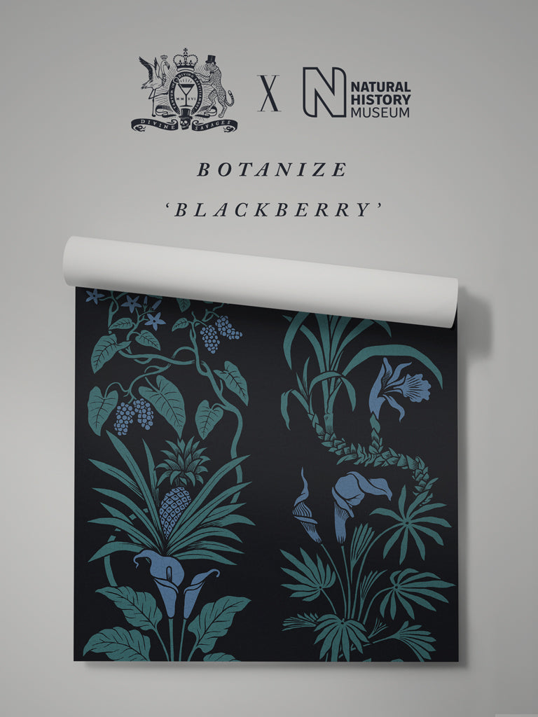 Blackberry