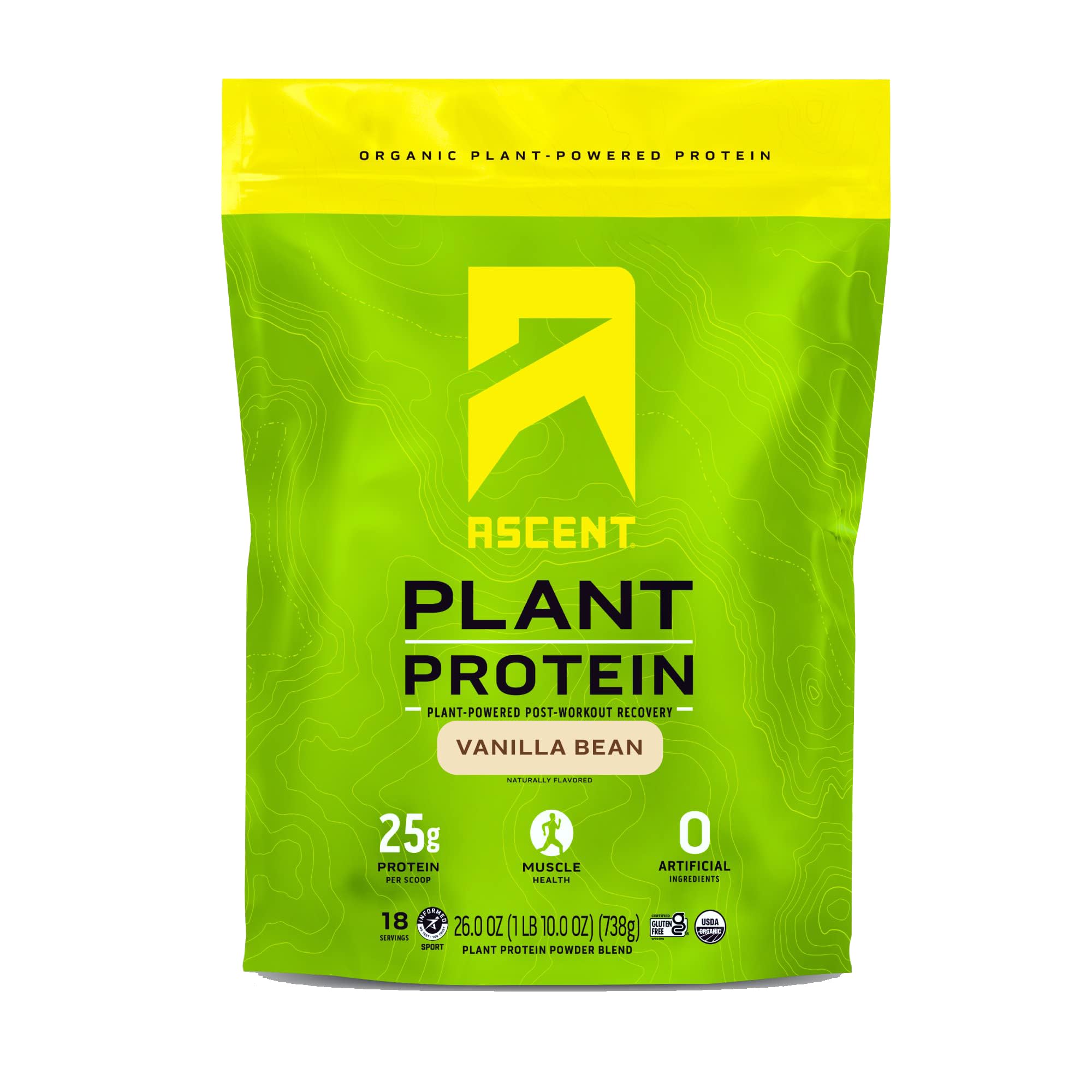 Ascent Plant Based Protein Powder - Vegan Non Dairy Protein Powder, Soy Free, Gluten Free, No Added Sugar, 4g BCAA, 2g Leucine - Vanilla Flavor (20 Servings) | Perfect for Post-Workout Recovery & Healthy Smoothies