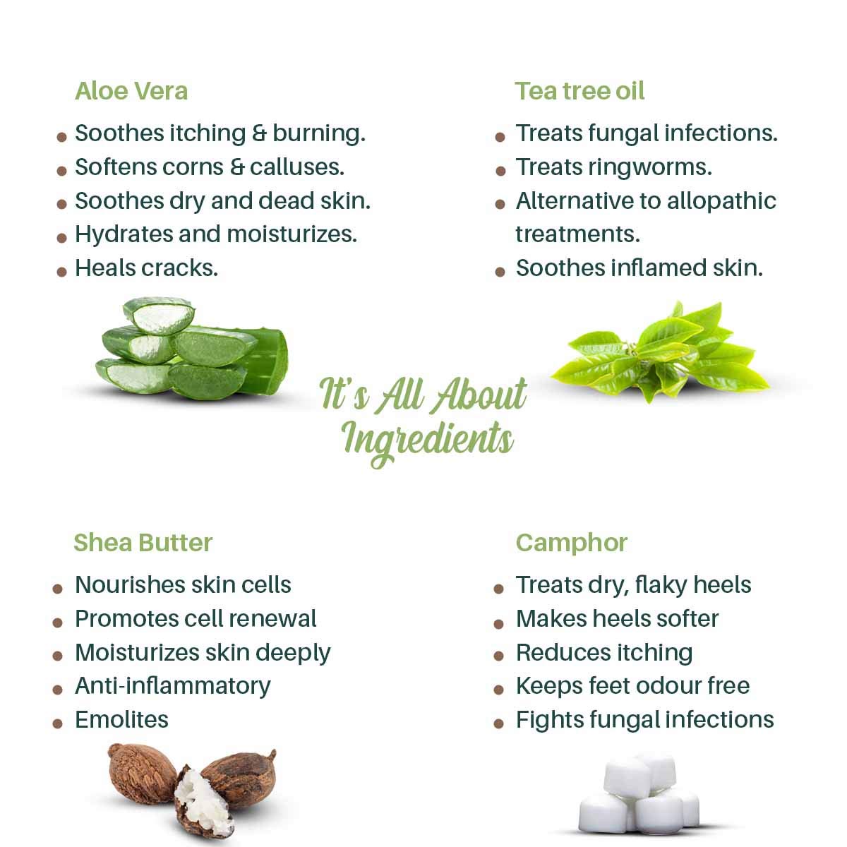 Matra Foot Cream for Cracked Heels & Dry Feet - Moisturizing Treatment with Aloe Vera & Tea Tree Oil - Best for Cracked Heel Repair & Softening Rough Skin - Perfect for Daily Foot Care & Pedicure Routine