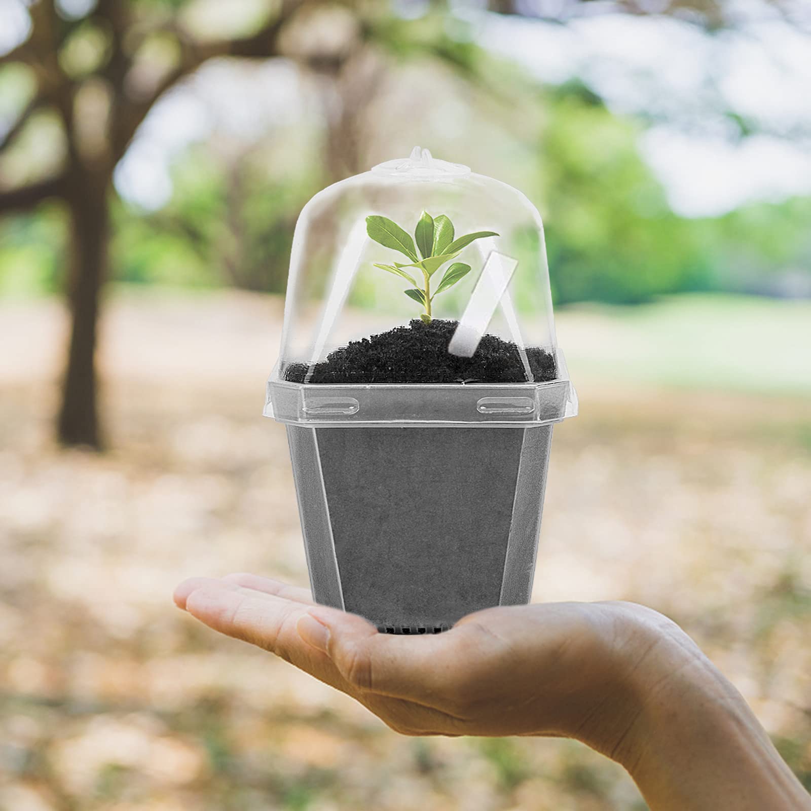 EBaokuup 4 Inch Clear Plastic Plant Nursery Pots with Humidity Dome - 10 Pack Gardening Containers with Drain Holes for Seedlings, Vegetables, Succulents & Cuttings - Ideal for Indoor Gardening, Greenhouse Planting & Home Garden Starters