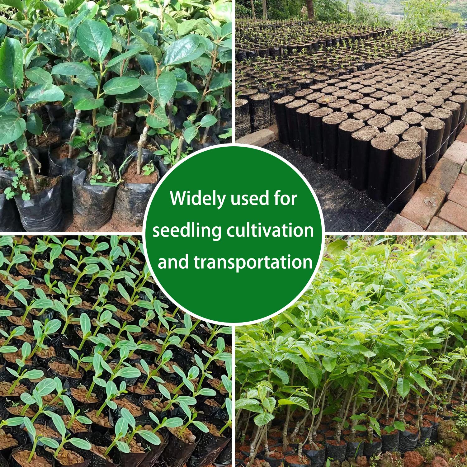 100 Pcs Plant Nursery Bags - 4.7