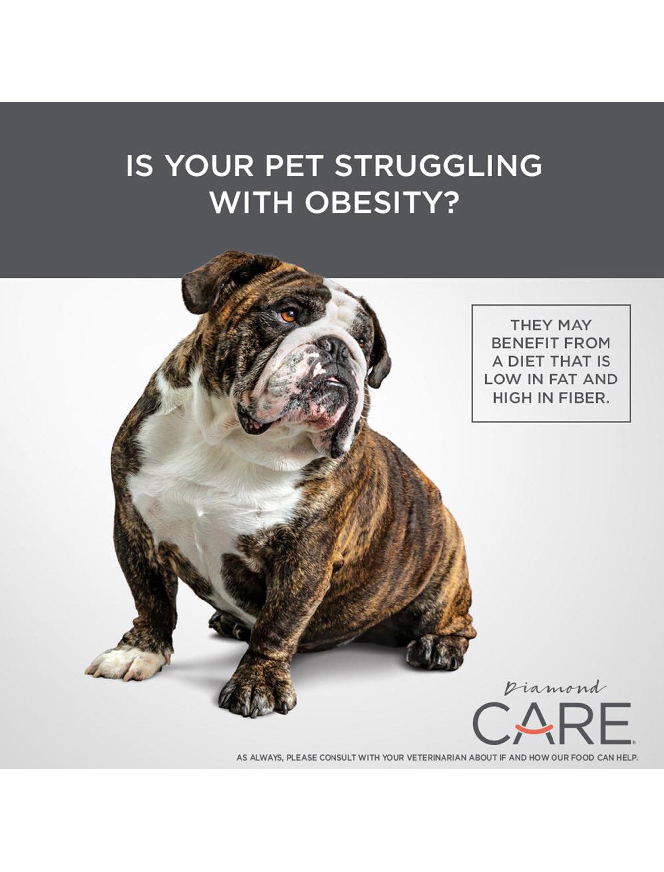 Premium Diamond Care Weight Management Formula Dry Dog Food for Adult Dogs - 8lb Bag | Healthy Weight Control & Nutrition for Overweight or Less Active Dogs
