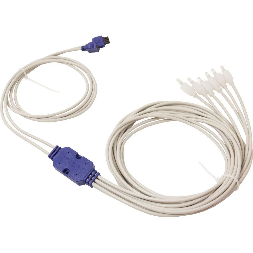 Balboa Water Group LED Spyder Lights - Waterproof Outdoor String Lights for Pool, Patio, and Backyard Decor | Energy-Efficient & Weatherproof Lighting Solution