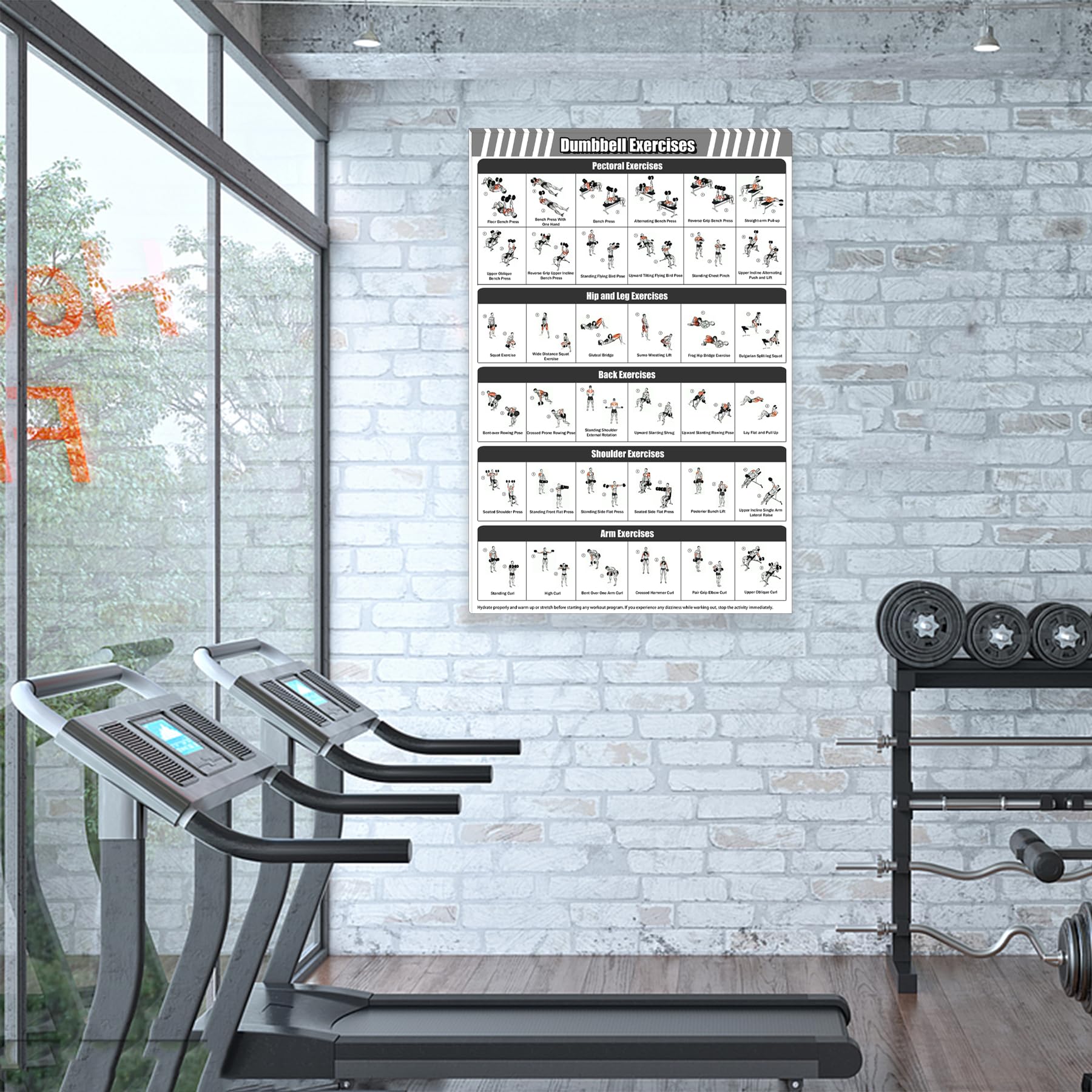 Gym Dumbbell Workout Poster for Men & Women - 24x36 Inch Framed Exercise Chart - Home Fitness Training Guide & Wall Decor - Perfect for Home Gym, Garage Workouts & Personal Training Studios